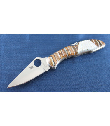 Delica Mammoth Tooth MOP Web