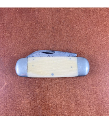 Catttaraugus Sunfish Yellow