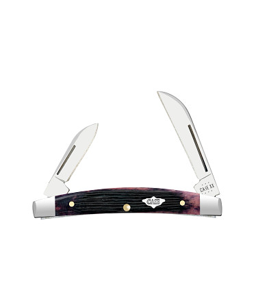 Case XX Congress -...