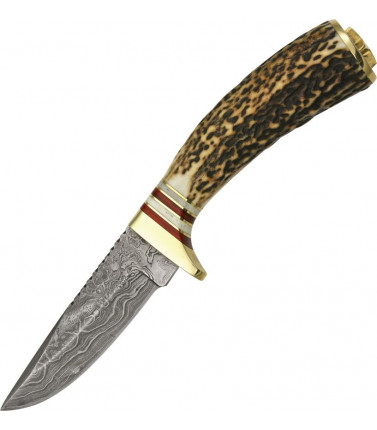 Whitetail Skinner -...