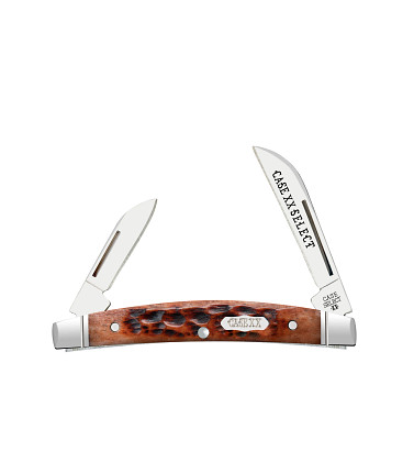 Case SELECT Small Congress...