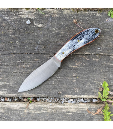 Large Northern Hunter -...