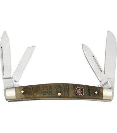 Klaas Congress - Rams Horn