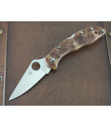Delica Zome Desert Camo