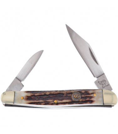 Pen Knife - Genuine Stag
