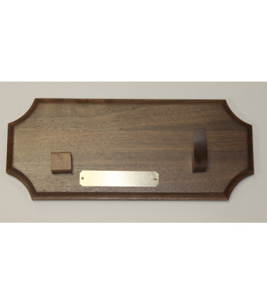 Case Presentation Plaque