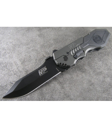 S&W Large M&P Assisted PE