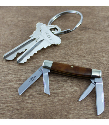 Mini Congress Tobacco Bone