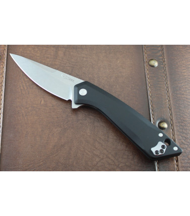 Case Black Flipper DP SG