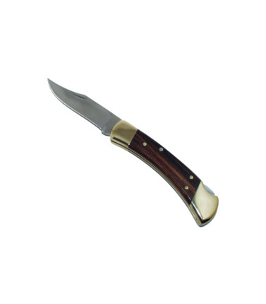 Buck Folding Hunter