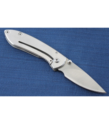Buck Nobleman Stainless