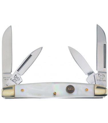 Congress Salt Water Pearl