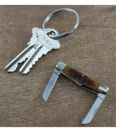 Mini Congress Amber Bone