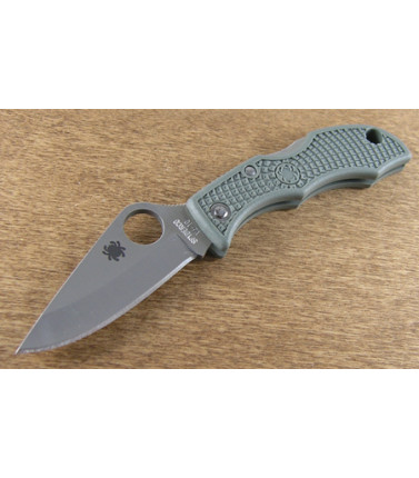 Ladybug Sage Green PE